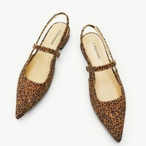 C. Paravano Pointed Toe Slingback Flats‎ Freya Leopard Print  Size EU39 US. 8.5